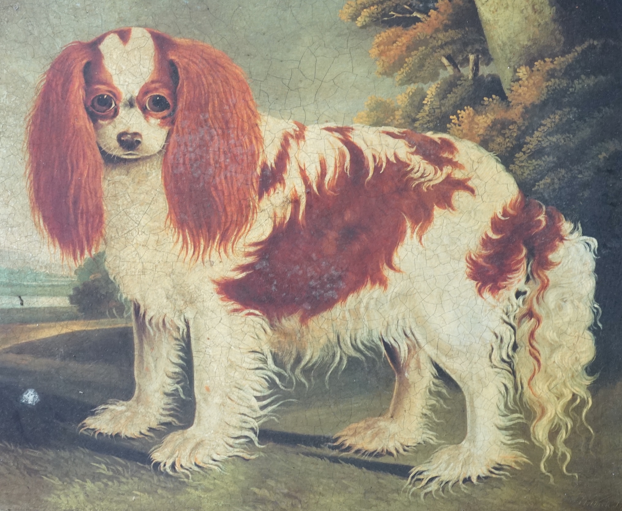 A L Clarke, Primitive style study of a spaniel, oil on card